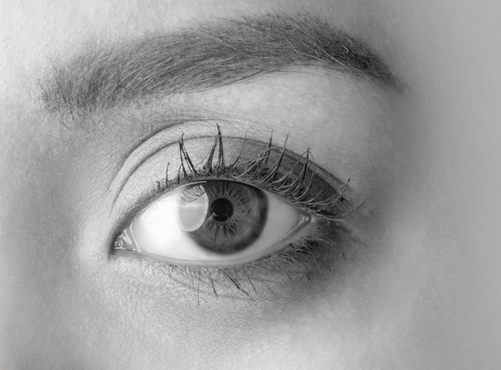 close up of a woman eye with long lashes monotone